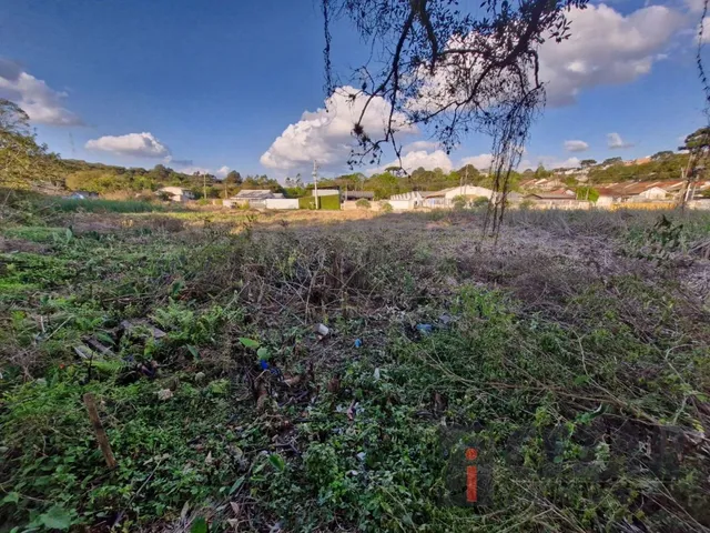 Terreno à venda, no bairro Paloma em Colombo