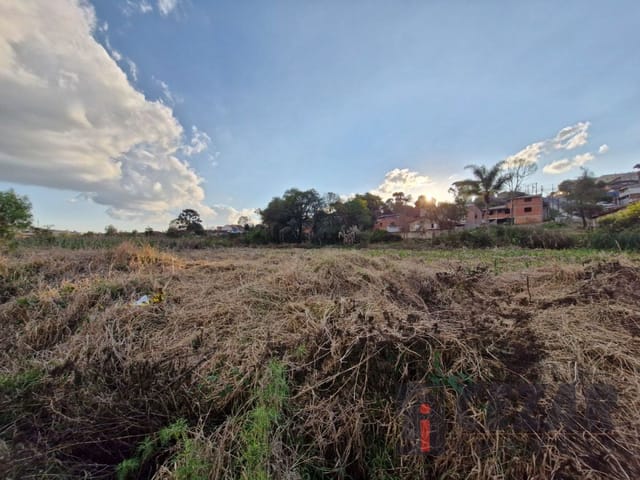 Terreno à venda, no bairro Paloma em Colombo