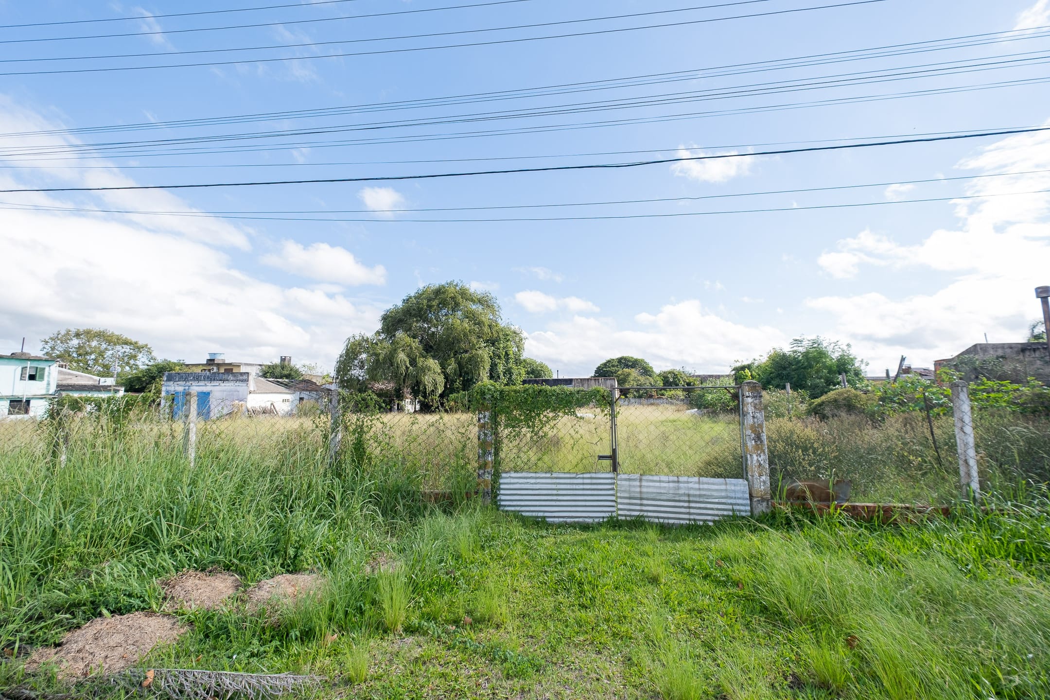 Terreno à venda na Av. Cidade de Lisboa, Fragata - 3.000 m² de área total, sendo 60 metros de frente para a avenida. - 6