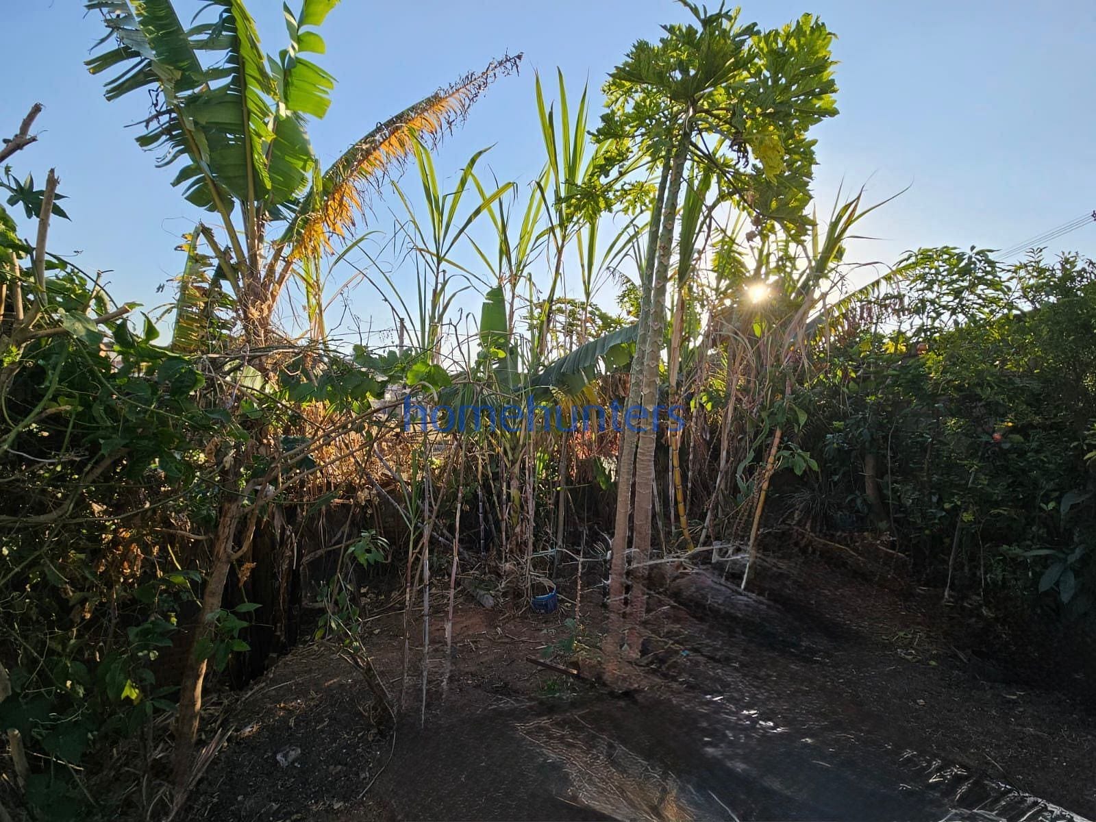 Terreno à venda, 10m² - Foto 5