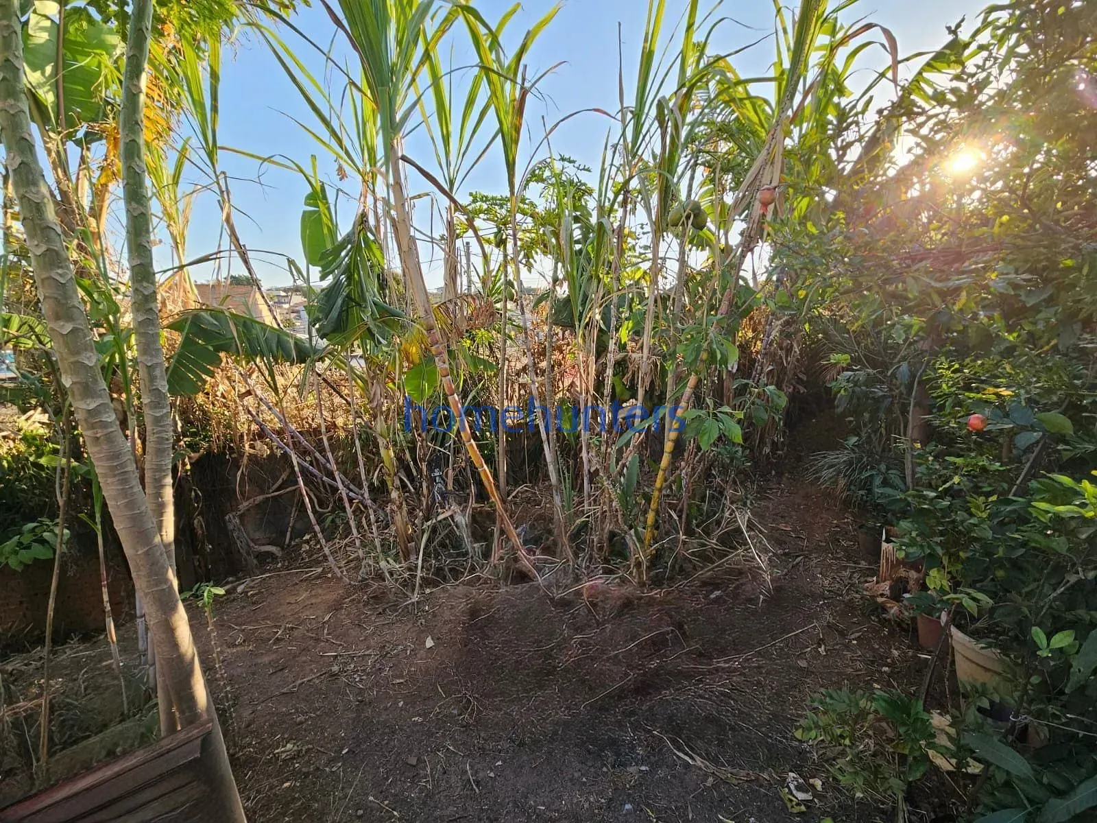 Terreno, 313 m² - Foto 7