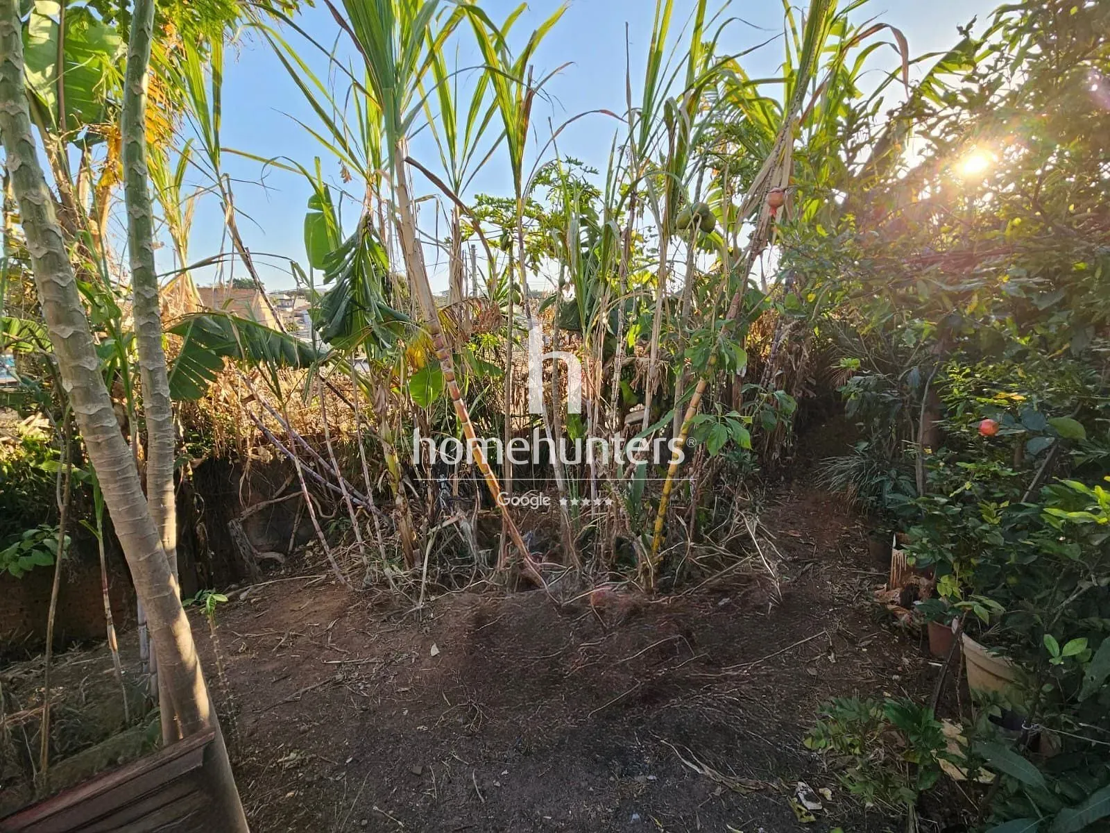 Terreno, 313 m² - Foto 7