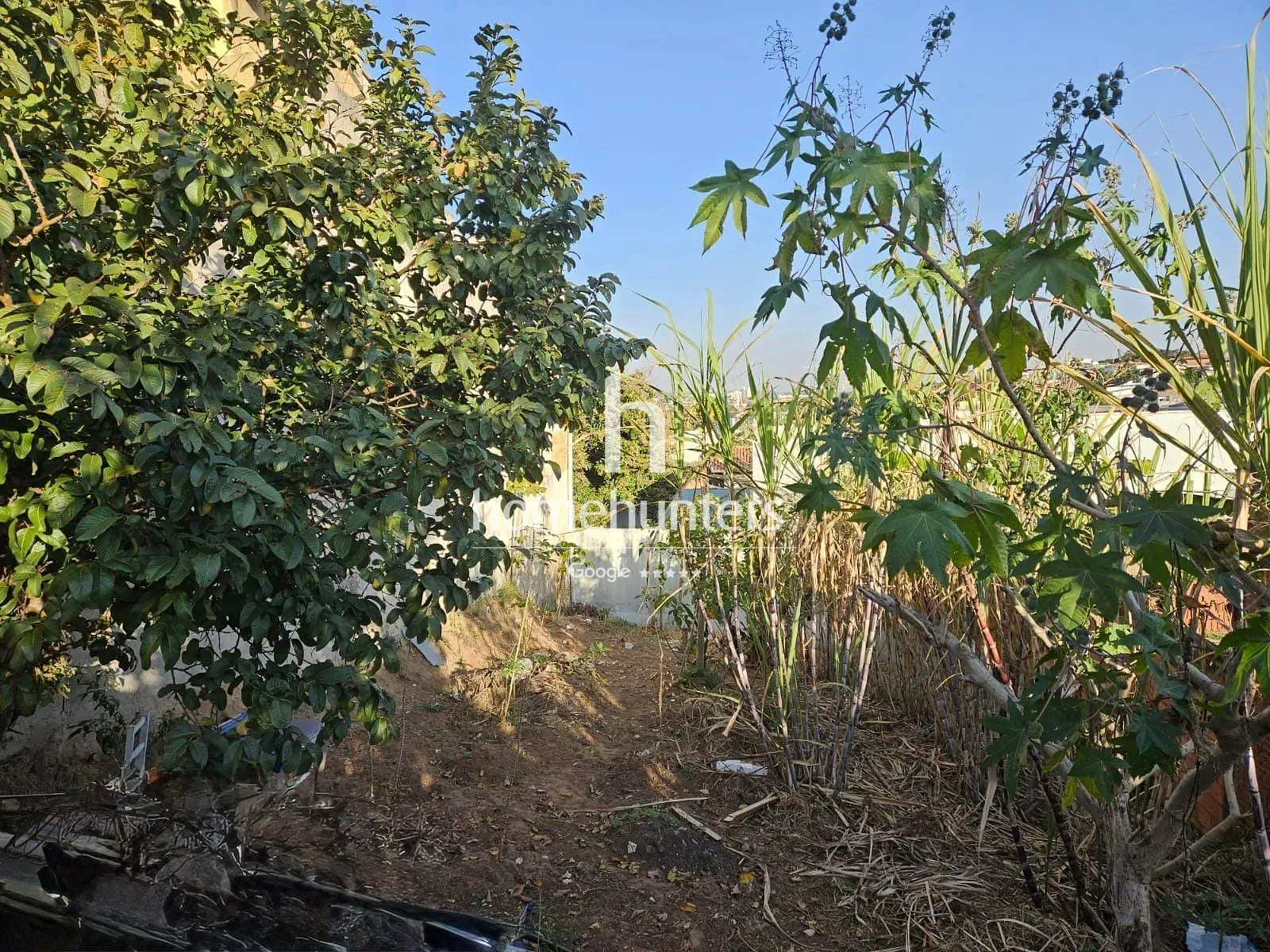Terreno, 313 m² - Foto 9