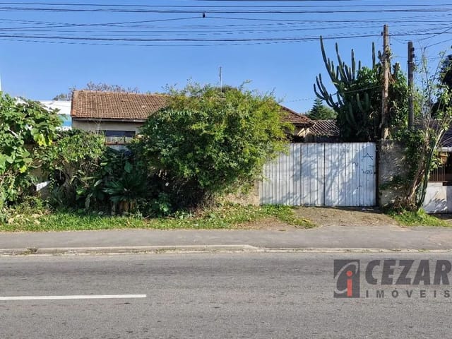 Terreno à venda, no bairro Centro em Pinhais