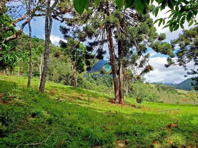 Terreno com 1078m², à venda, no bairro Centro em Gonçalves