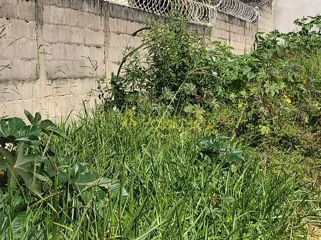 Terreno com 125m², à venda, no bairro Residencial Mombaça em Pindamonhangaba