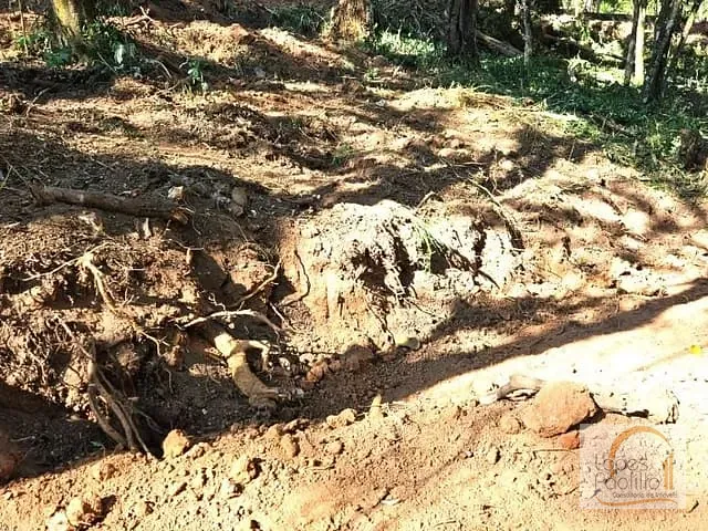 Terreno com 5100m², à venda, no bairro Recanto dos Palmares em Atibaia