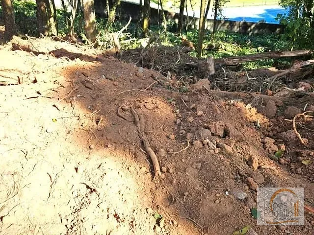 Terreno com 5100m², à venda, no bairro Recanto dos Palmares em Atibaia
