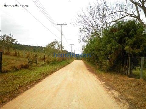 Terreno, 3 hectares - Foto 12
