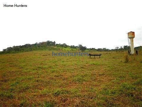 Terreno, 3 hectares - Foto 11