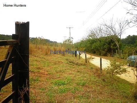 Terreno, 3 hectares - Foto 7