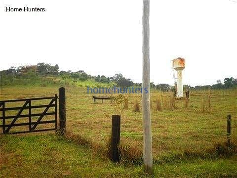 Terreno, 3 hectares - Foto 14