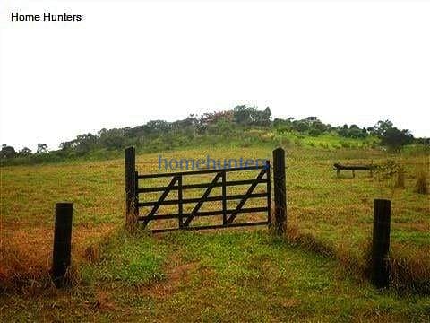 Terreno, 3 hectares - Foto 9