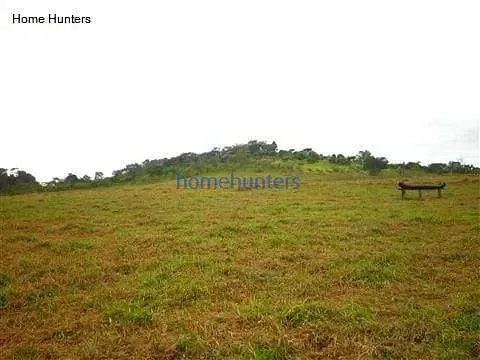 Terreno, 3 hectares - Foto 10