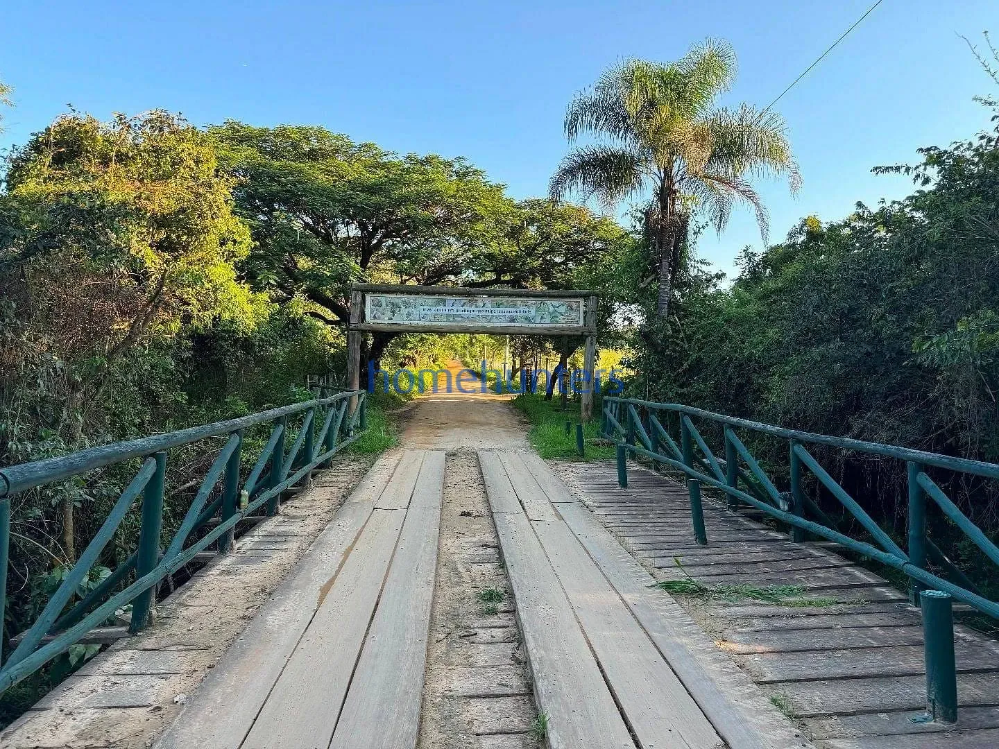 Terreno, 3 hectares - Foto 4