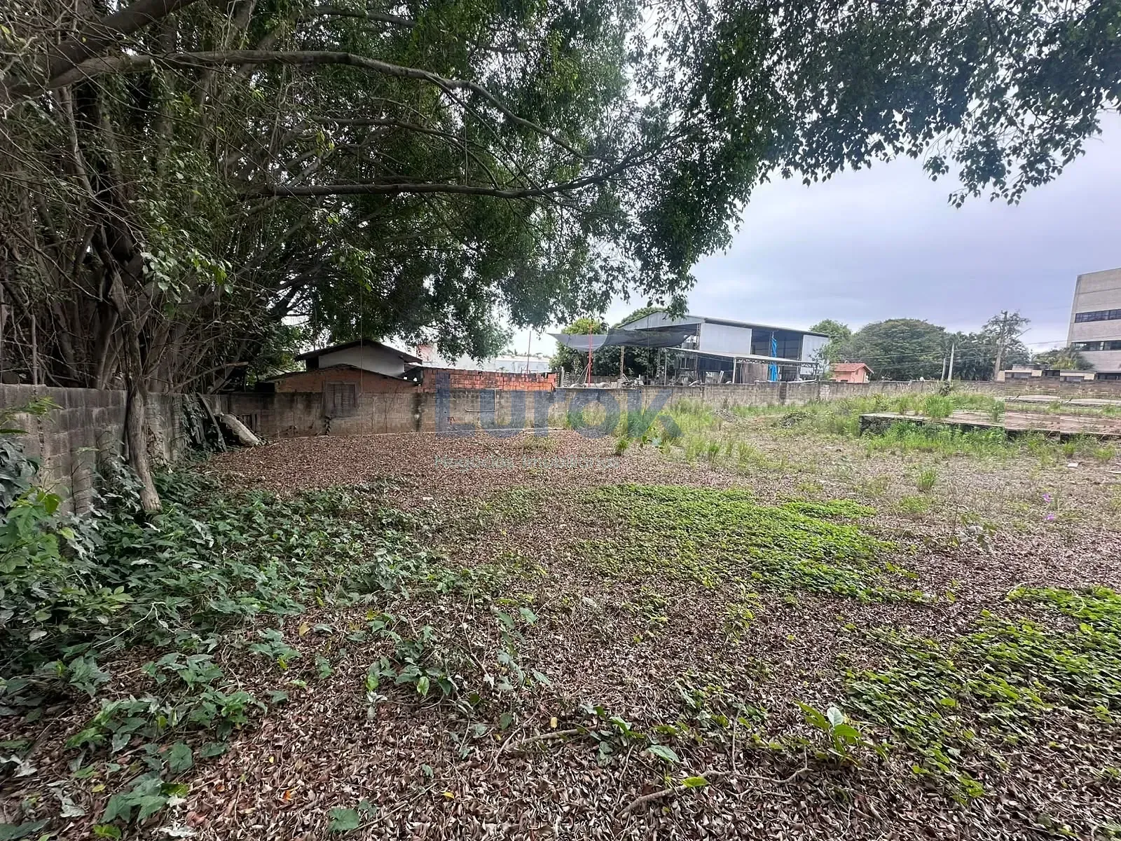 Terreno, 1506 m² - Foto 4