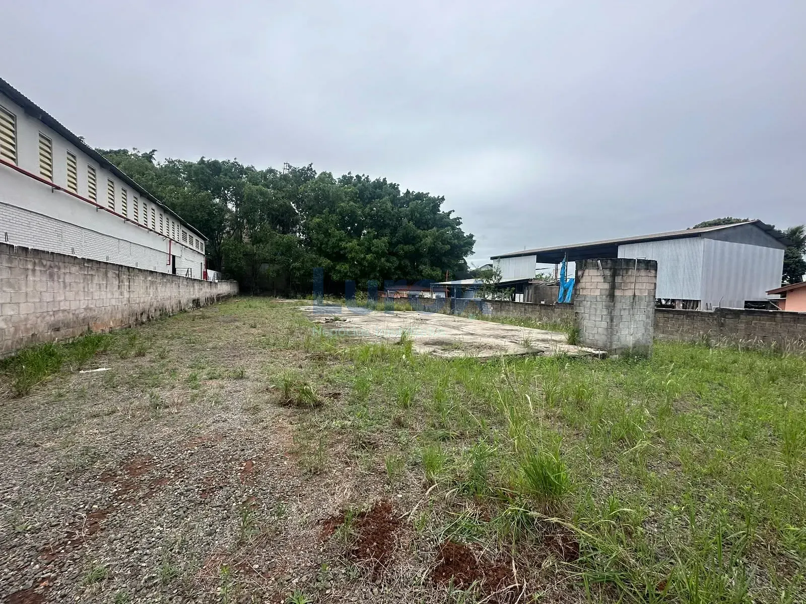 Terreno, 1506 m² - Foto 3