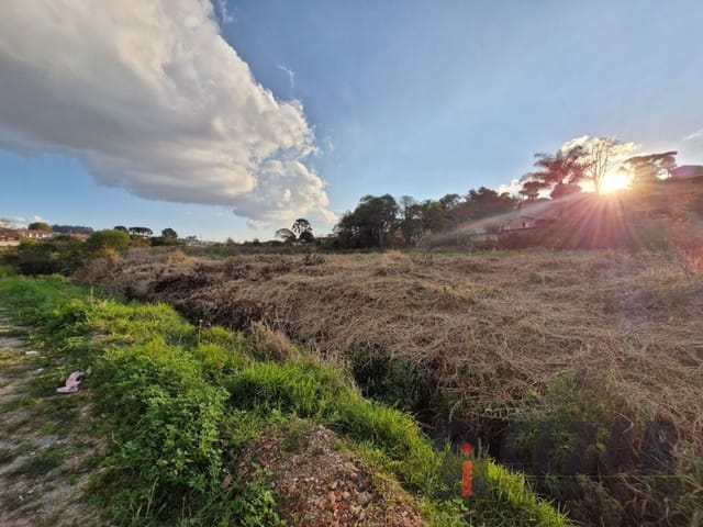 Terreno à venda, no bairro Paloma em Colombo