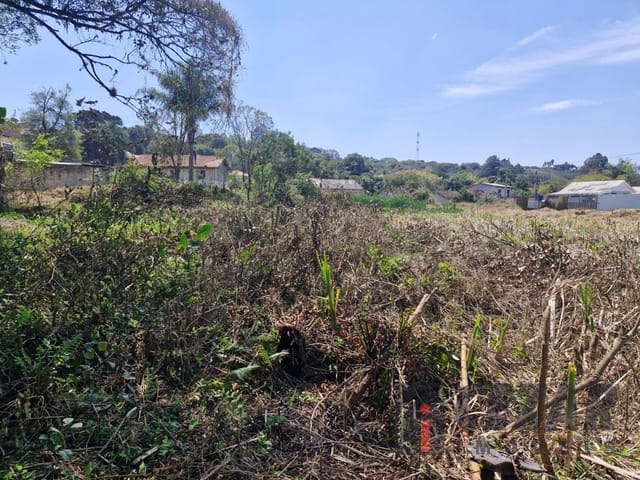 Terreno à venda, no bairro Paloma em Colombo
