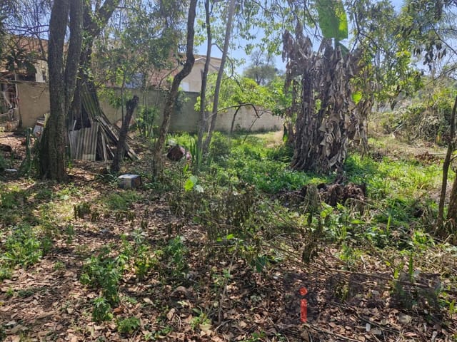Terreno à venda, no bairro Paloma em Colombo