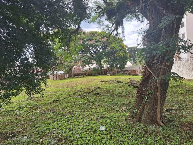 Terreno à venda, no bairro São Francisco em Curitiba