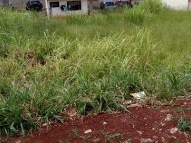 Foto do Terreno - Terreno à venda 200M², Jardim Nova Esperança, Londrina - PR | Londrina Cred Imóveis