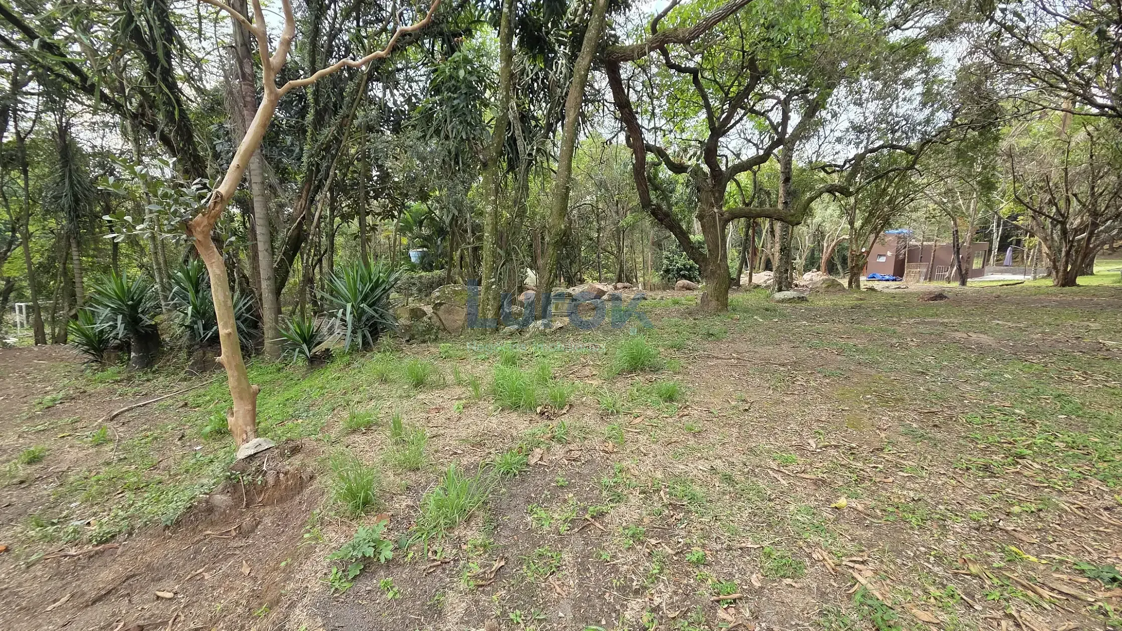 Terreno, 6272 m² - Foto 4