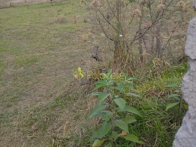 Terreno com 5000m², à venda, no bairro São Gonçalo em Taubaté