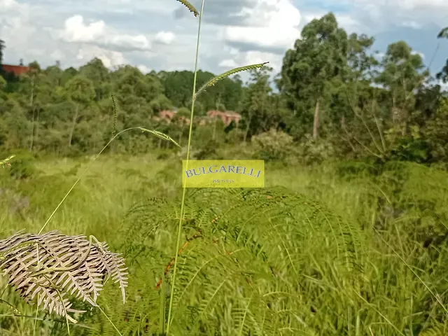 Terreno com 3500m², à venda, no bairro Caxambu em Jundiaí