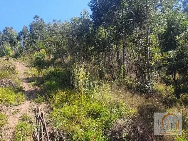 Terreno com 3790m², à venda, no bairro Portão em Atibaia