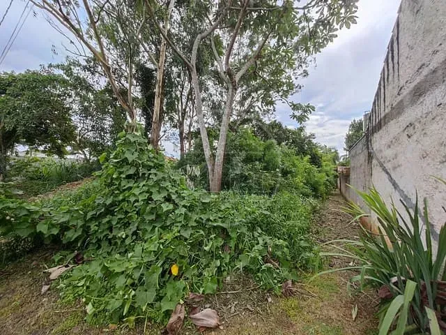 Terreno com 504m², à venda, no bairro Parque do Terceiro Lago em São Paulo
