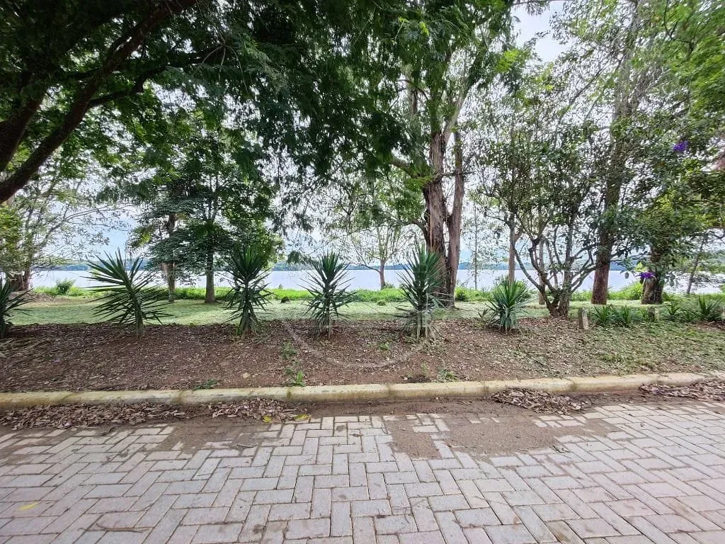 Terreno, 504 m² - Foto 6