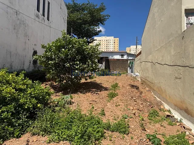 Terreno com 265m², à venda, no bairro Jardim Cura D'Ars em Campinas