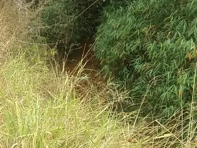 Terreno com 128343m², à venda, no bairro Chácara Ipês em Caçapava