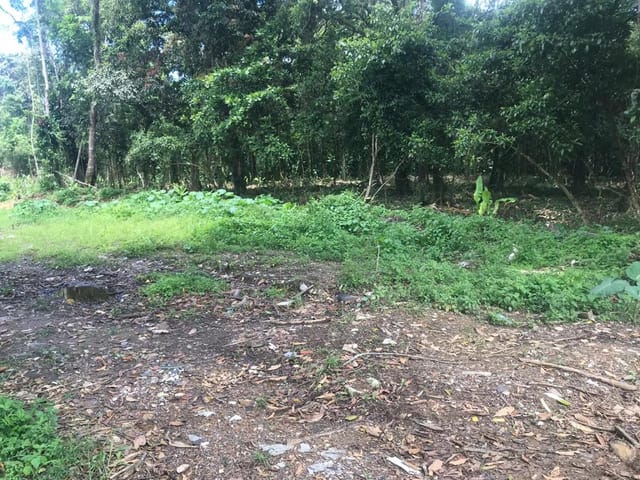 Terreno com 1423m², à venda, no bairro Jardim Carolina em Ubatuba
