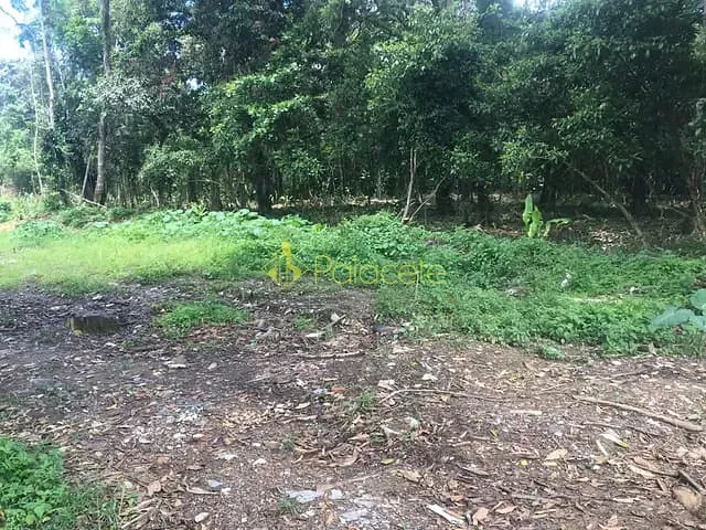 Terreno com 1423m², à venda, no bairro Jardim Carolina em Ubatuba