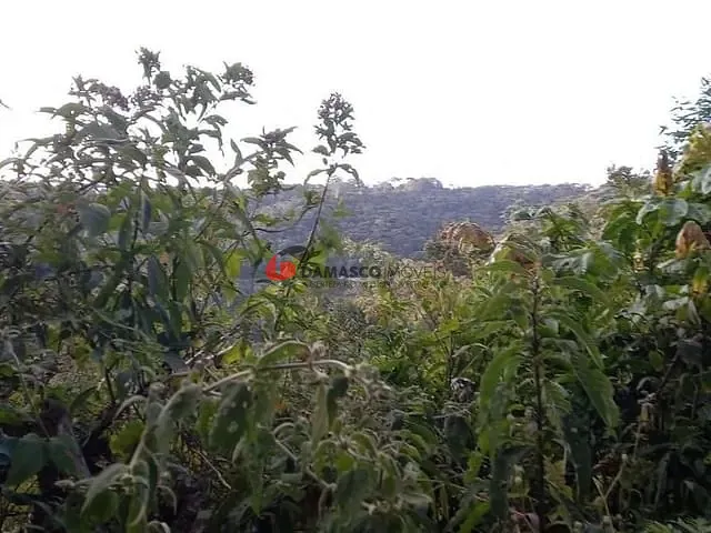 Terreno com 314000m², à venda, no bairro Jardim Nova Suica em Campos do Jordão