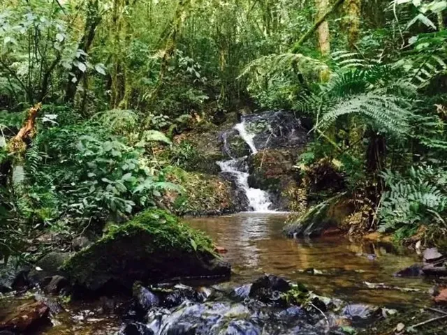 Terreno à venda, no bairro Área Rural de Campo Largo em Campo Largo