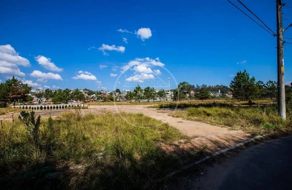 Terreno, 3 hectares - Foto 2