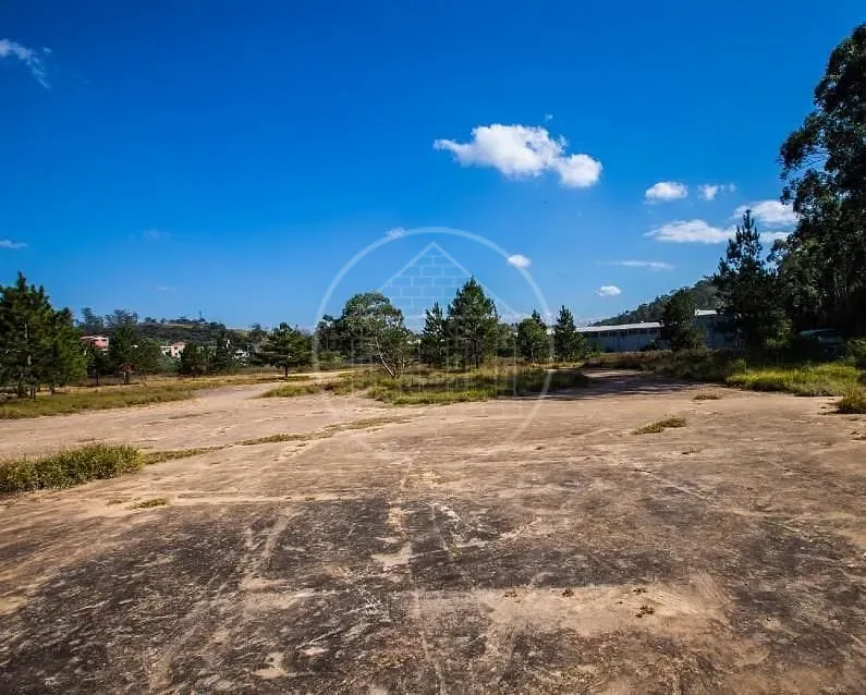 Terreno, 3 hectares - Foto 3