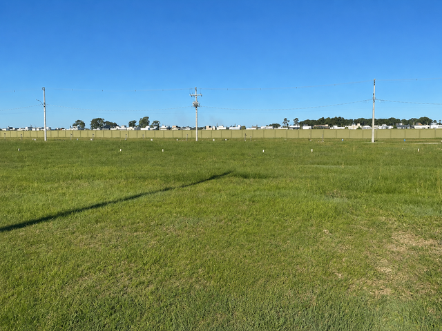 Terreno com 356m², à venda, no bairro Laranjal em Pelotas
