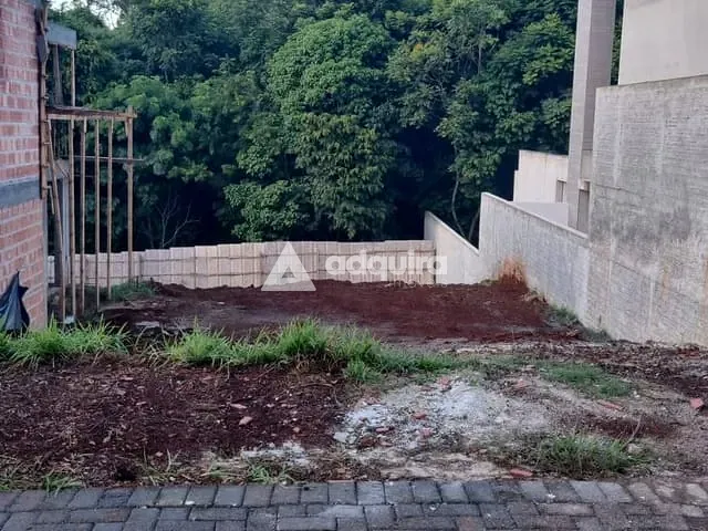 Terreno com 434m², à venda, no bairro Colônia Dona Luíza em Ponta Grossa