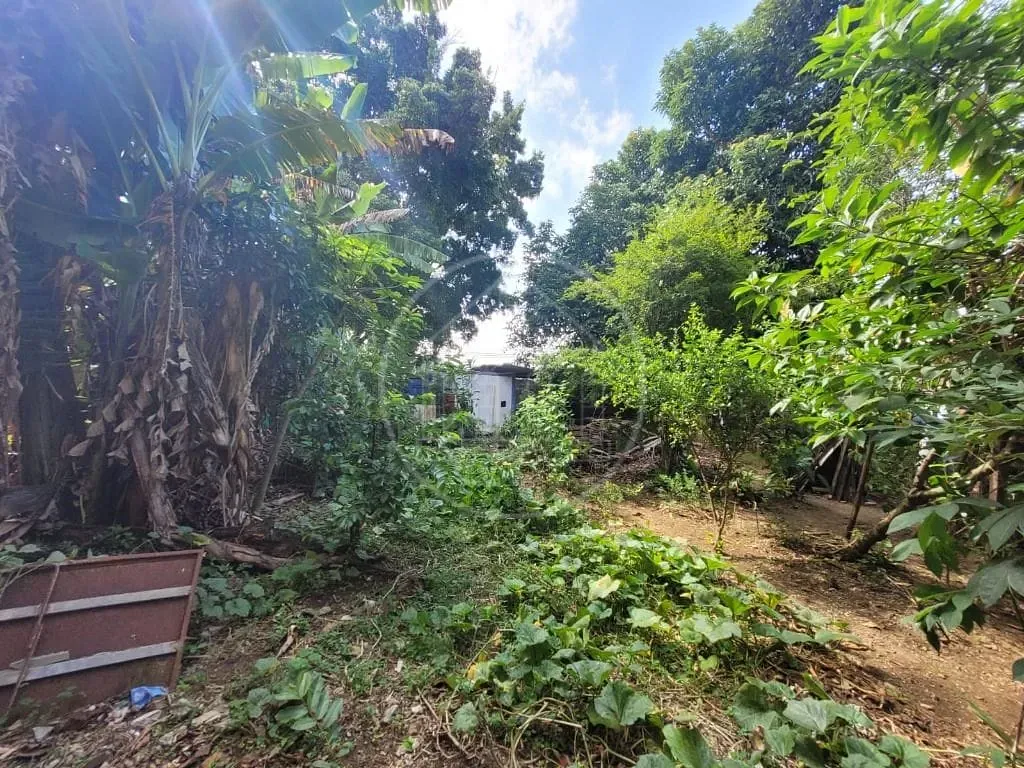 Terreno, 150 m² - Foto 7
