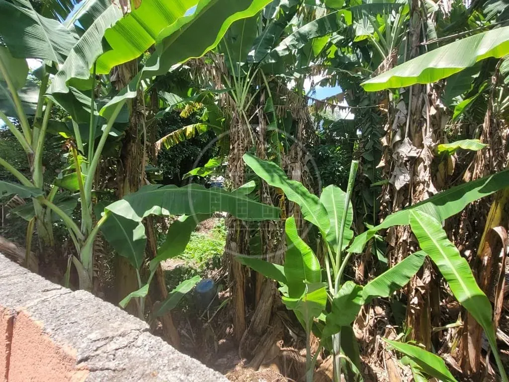 Terreno, 150 m² - Foto 3