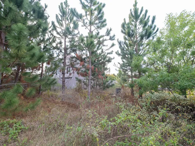 Terreno com 1100m², à venda, no bairro Laranjal em Pelotas
