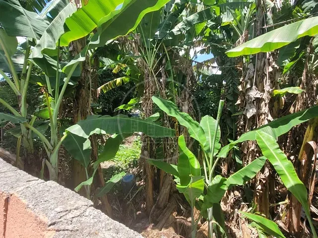 Terreno com 160m², à venda, no bairro Jardim Três Marias em São Paulo