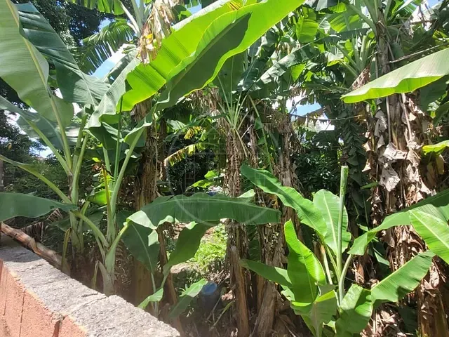 Terreno com 160m², à venda, no bairro Jardim Três Marias em São Paulo
