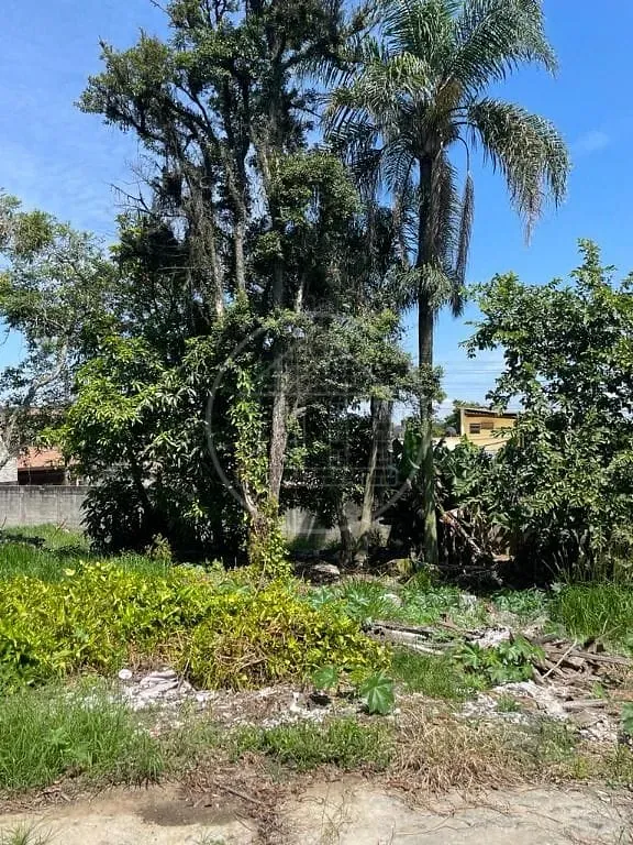 Terreno, 1860 m² - Foto 5