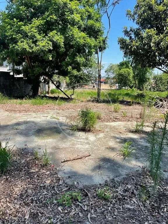 Terreno, 1860 m² - Foto 3