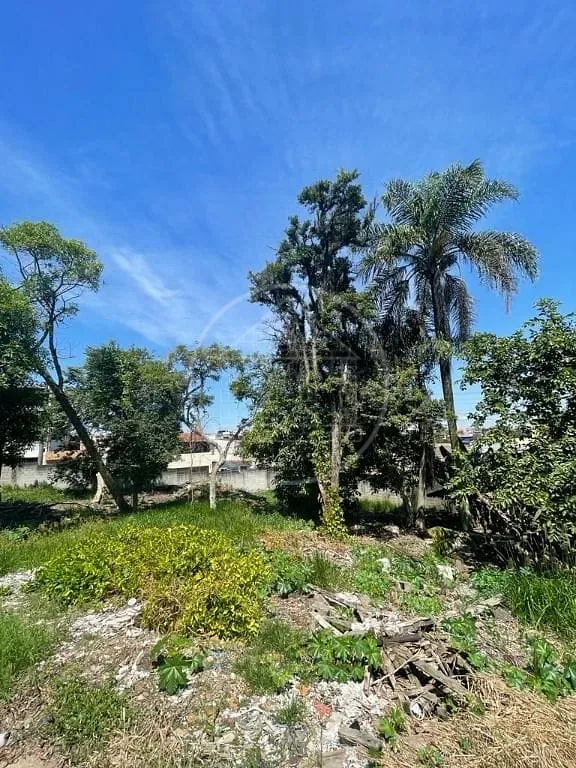 Terreno, 1860 m² - Foto 4